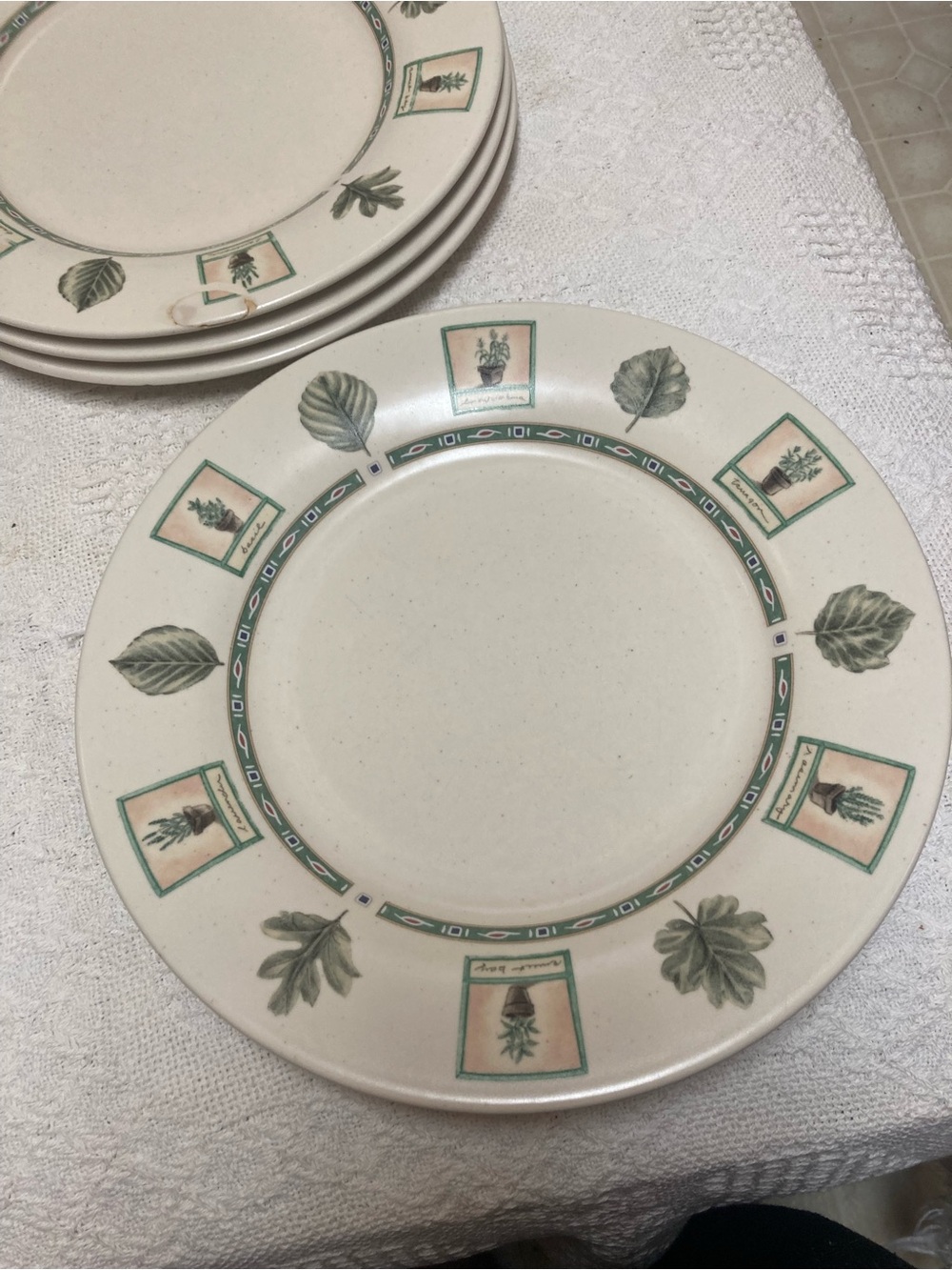 Pfaltzgraff Naturewood Green and Cream Botanical Dinner Plate 11” Set of 4